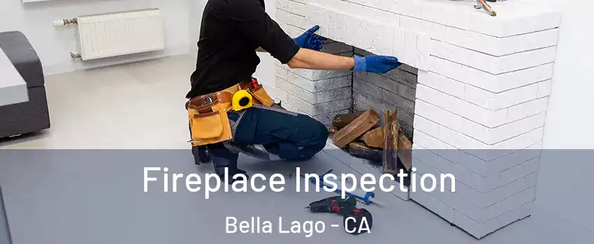 Fireplace Inspection Bella Lago - CA