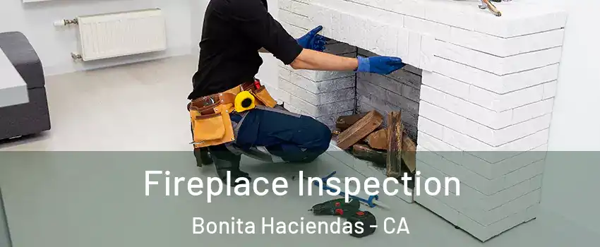 Fireplace Inspection Bonita Haciendas - CA