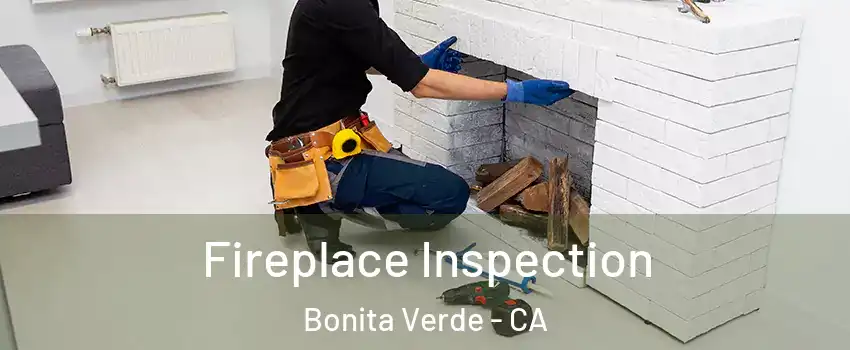 Fireplace Inspection Bonita Verde - CA