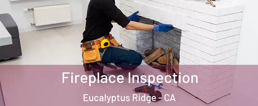 Fireplace Inspection Eucalyptus Ridge - CA