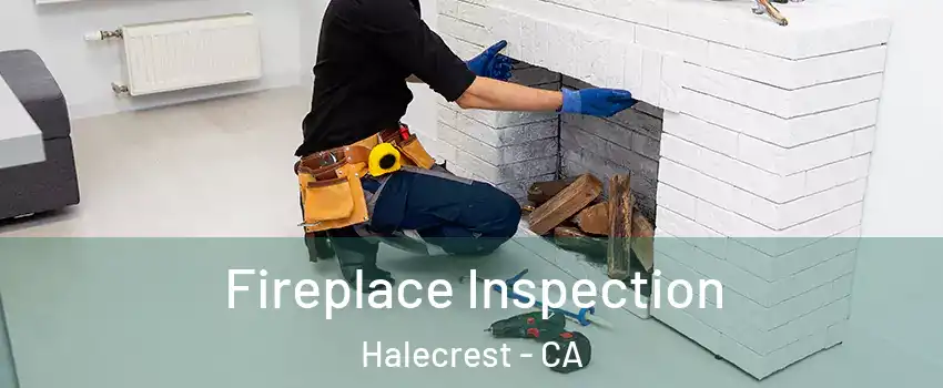 Fireplace Inspection Halecrest - CA