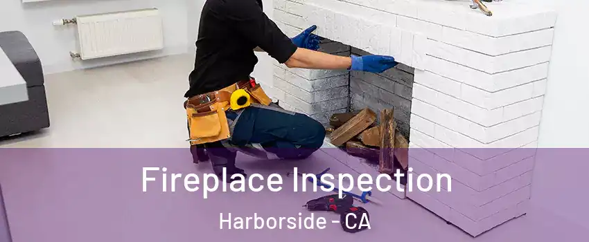 Fireplace Inspection Harborside - CA