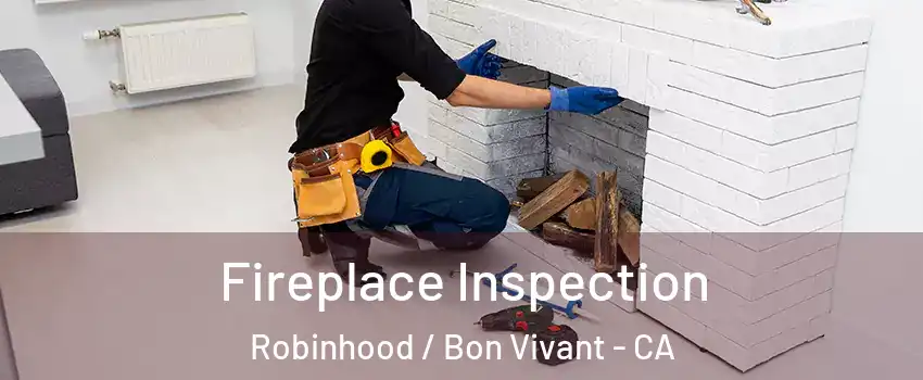 Fireplace Inspection Robinhood / Bon Vivant - CA