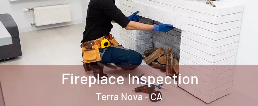 Fireplace Inspection Terra Nova - CA
