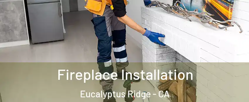 Fireplace Installation Eucalyptus Ridge - CA