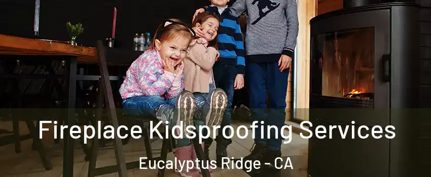 Fireplace Kidsproofing Services Eucalyptus Ridge - CA