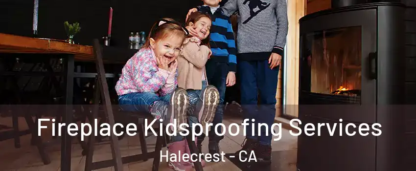 Fireplace Kidsproofing Services Halecrest - CA