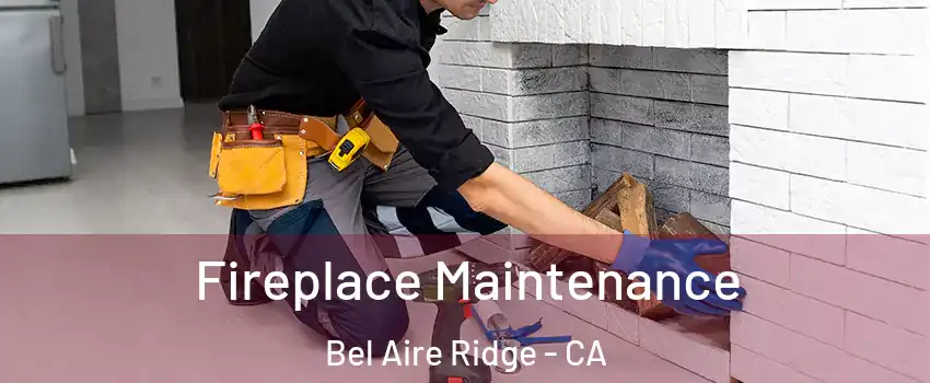 Fireplace Maintenance Bel Aire Ridge - CA