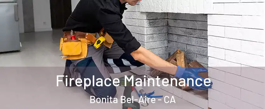 Fireplace Maintenance Bonita Bel-Aire - CA