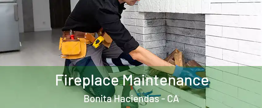 Fireplace Maintenance Bonita Haciendas - CA