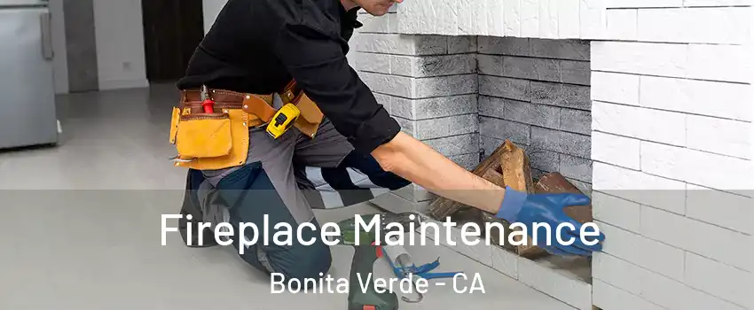 Fireplace Maintenance Bonita Verde - CA