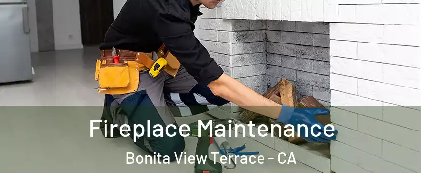 Fireplace Maintenance Bonita View Terrace - CA