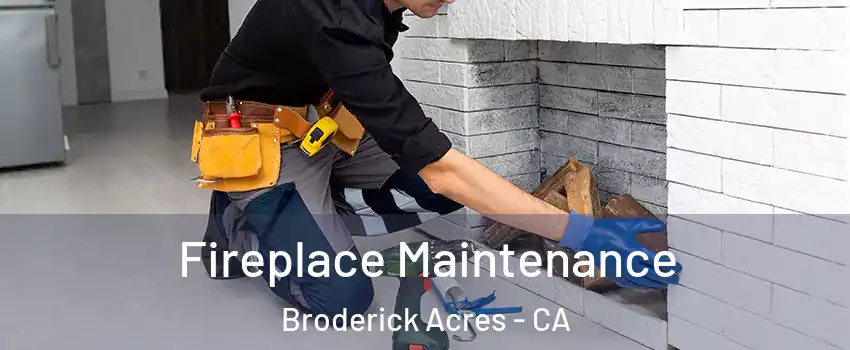 Fireplace Maintenance Broderick Acres - CA
