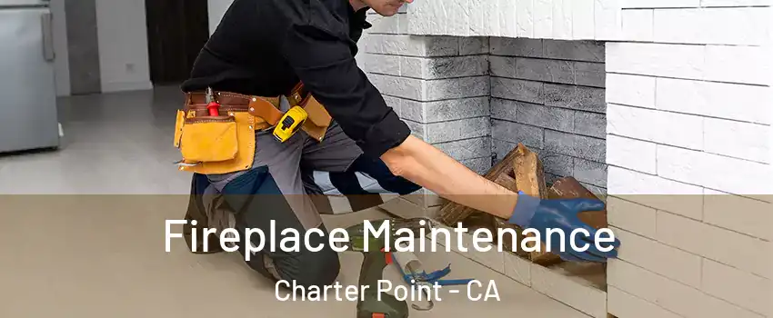 Fireplace Maintenance Charter Point - CA