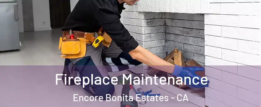 Fireplace Maintenance Encore Bonita Estates - CA