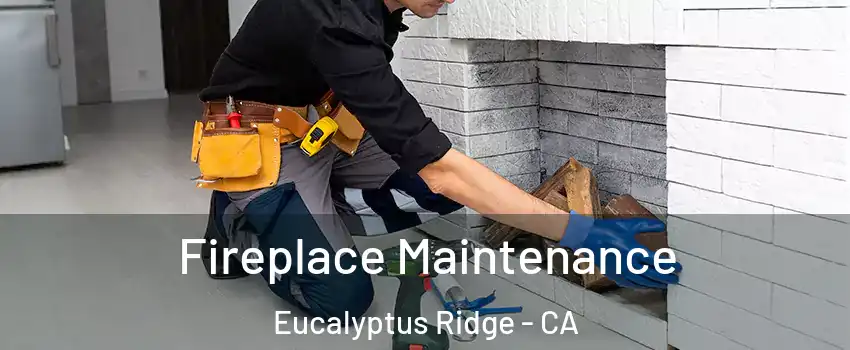 Fireplace Maintenance Eucalyptus Ridge - CA