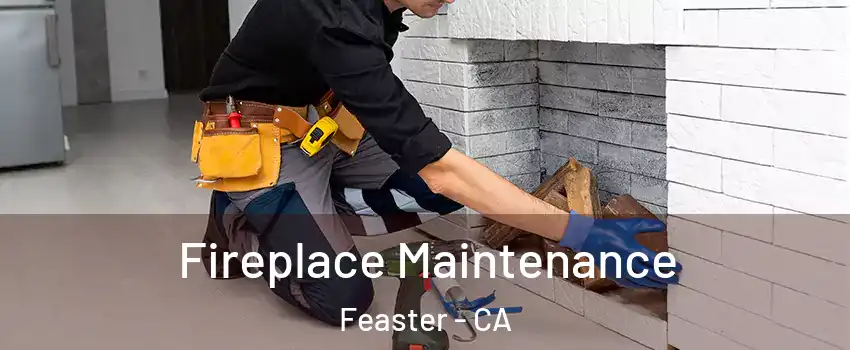 Fireplace Maintenance Feaster - CA