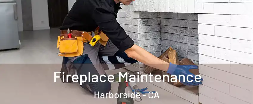 Fireplace Maintenance Harborside - CA