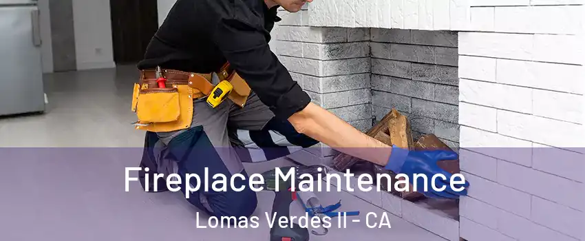 Fireplace Maintenance Lomas Verdes II - CA