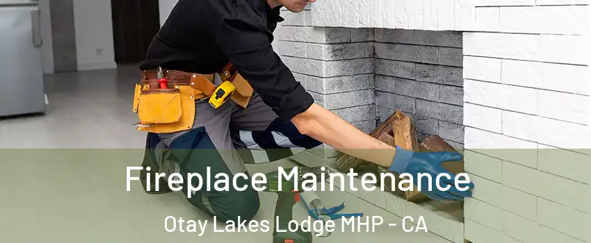 Fireplace Maintenance Otay Lakes Lodge MHP - CA