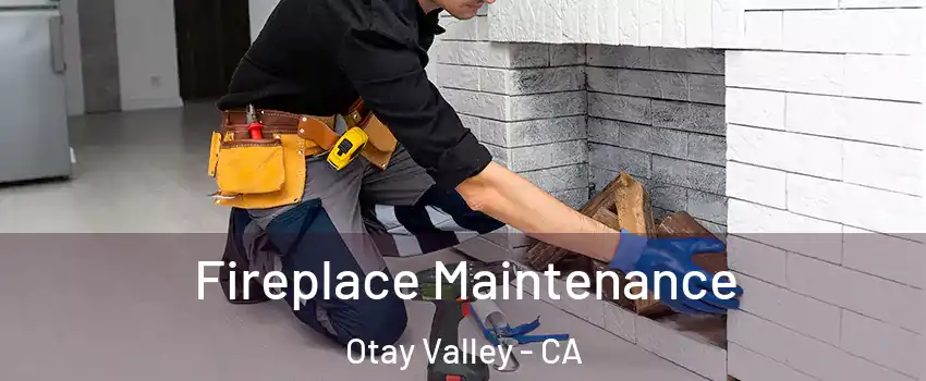 Fireplace Maintenance Otay Valley - CA