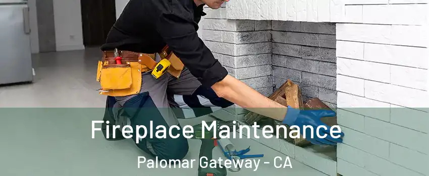 Fireplace Maintenance Palomar Gateway - CA