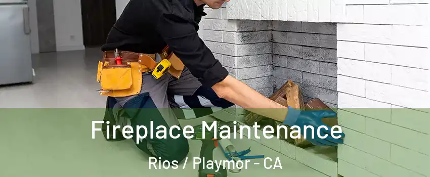 Fireplace Maintenance Rios / Playmor - CA