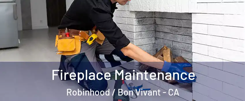 Fireplace Maintenance Robinhood / Bon Vivant - CA