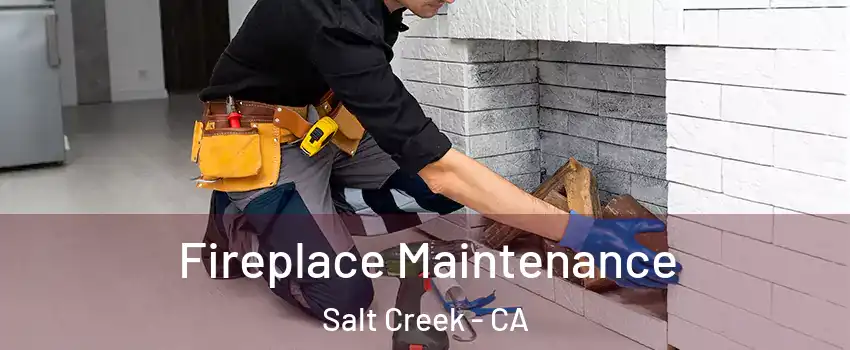 Fireplace Maintenance Salt Creek - CA