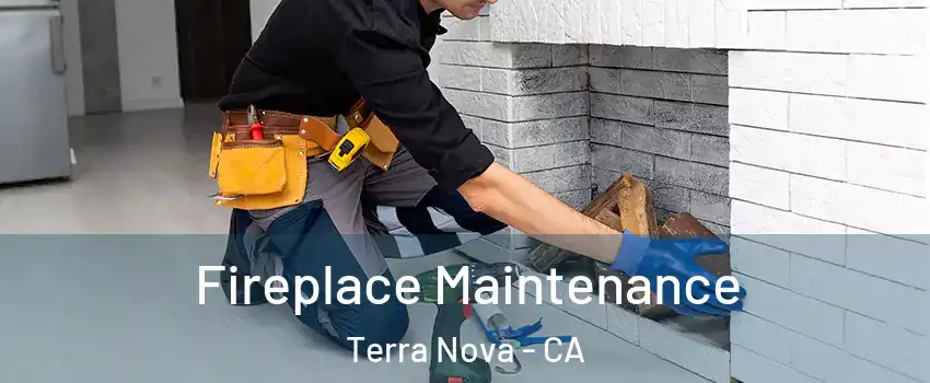 Fireplace Maintenance Terra Nova - CA