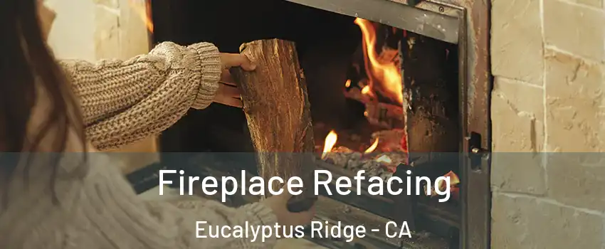Fireplace Refacing Eucalyptus Ridge - CA