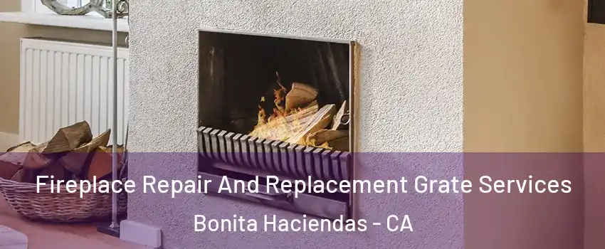 Fireplace Repair And Replacement Grate Services Bonita Haciendas - CA