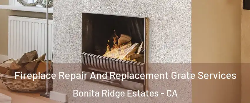 Fireplace Repair And Replacement Grate Services Bonita Ridge Estates - CA