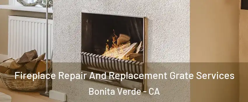Fireplace Repair And Replacement Grate Services Bonita Verde - CA