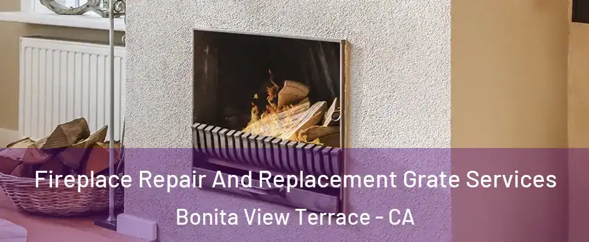Fireplace Repair And Replacement Grate Services Bonita View Terrace - CA
