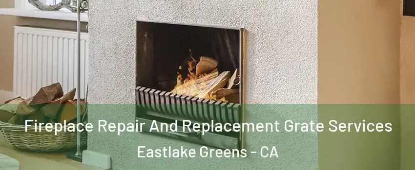 Fireplace Repair And Replacement Grate Services Eastlake Greens - CA
