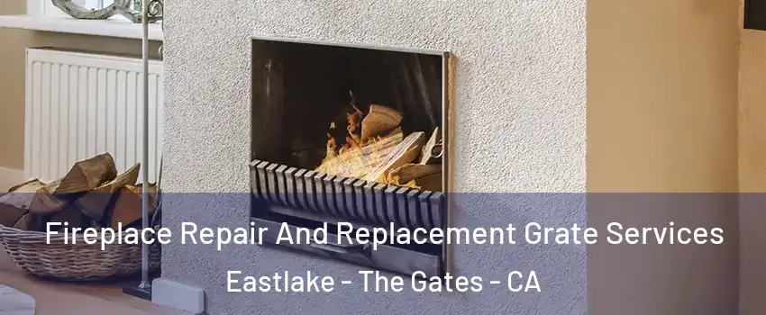 Fireplace Repair And Replacement Grate Services Eastlake - The Gates - CA