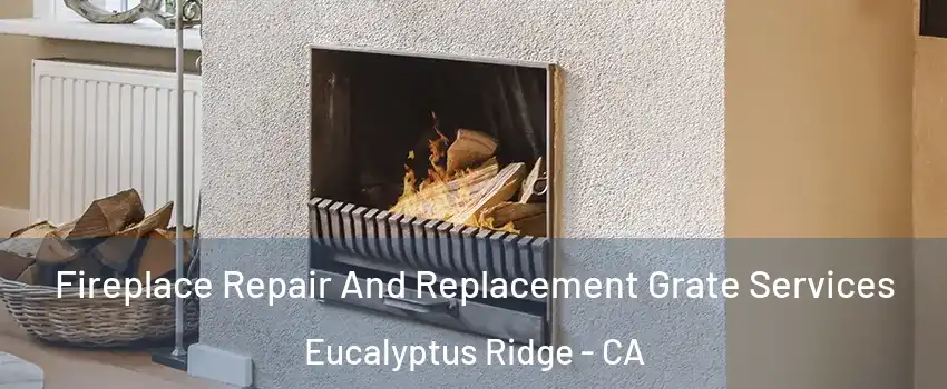 Fireplace Repair And Replacement Grate Services Eucalyptus Ridge - CA