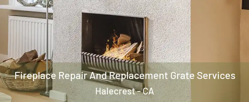 Fireplace Repair And Replacement Grate Services Halecrest - CA