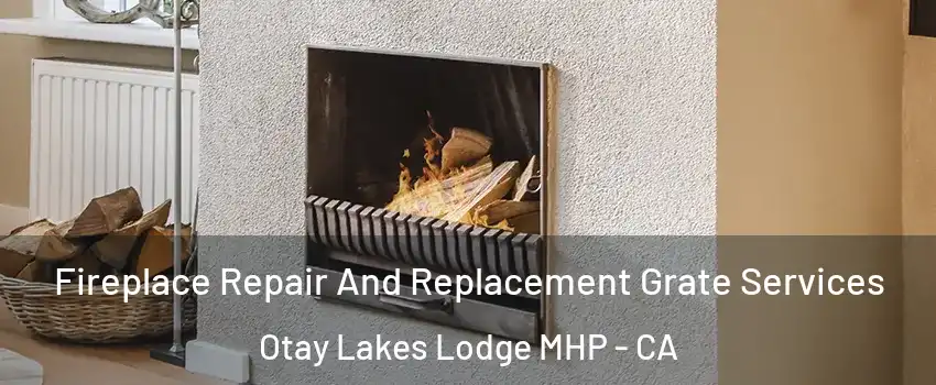Fireplace Repair And Replacement Grate Services Otay Lakes Lodge MHP - CA