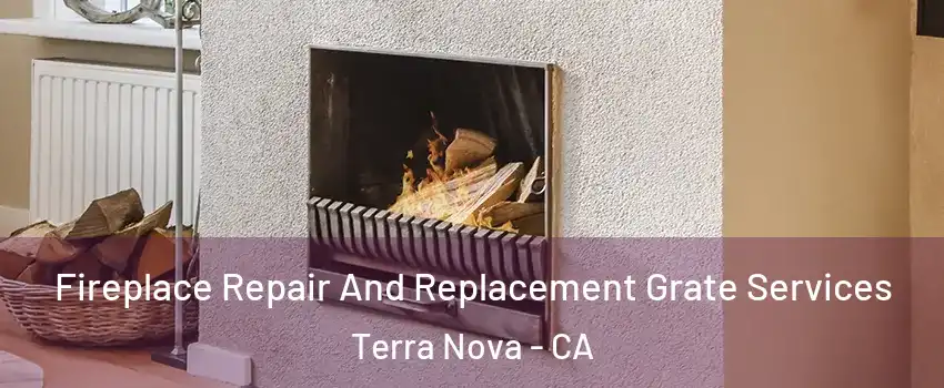 Fireplace Repair And Replacement Grate Services Terra Nova - CA