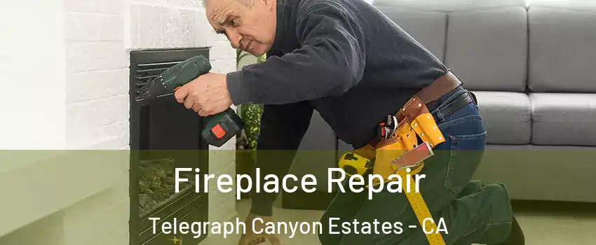 Fireplace Repair Telegraph Canyon Estates - CA