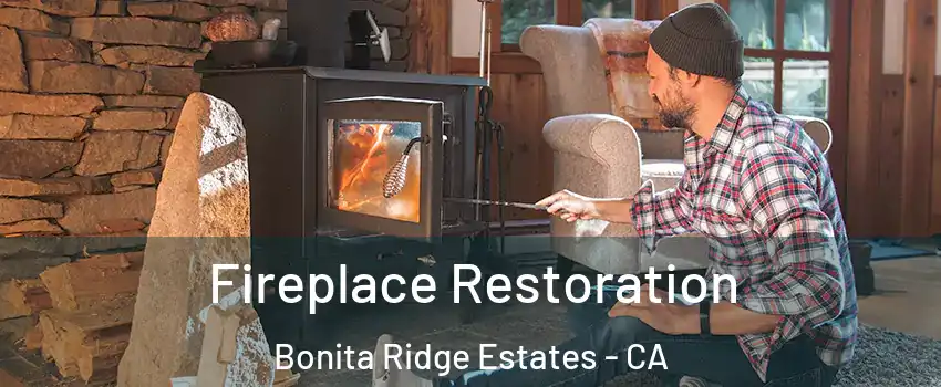 Fireplace Restoration Bonita Ridge Estates - CA