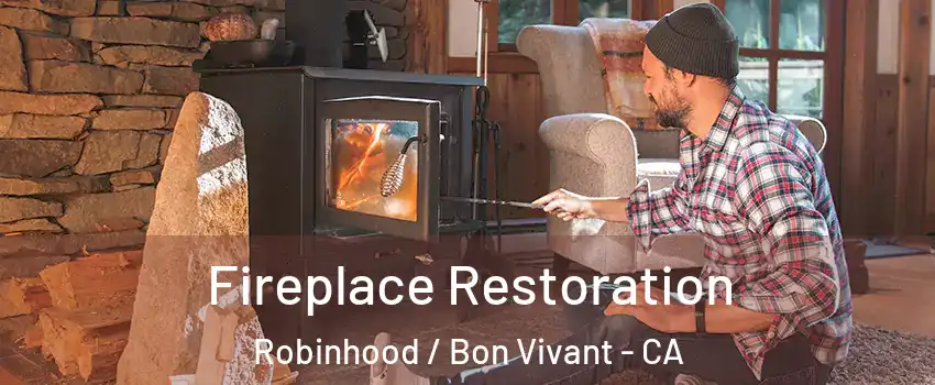 Fireplace Restoration Robinhood / Bon Vivant - CA