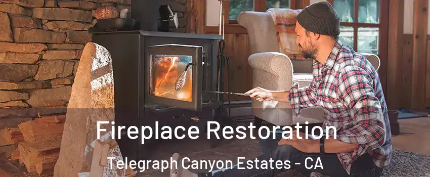 Fireplace Restoration Telegraph Canyon Estates - CA