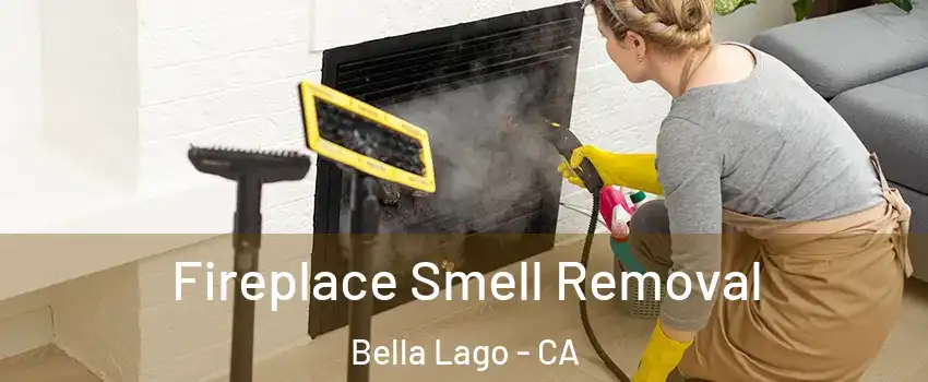 Fireplace Smell Removal Bella Lago - CA
