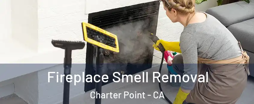 Fireplace Smell Removal Charter Point - CA