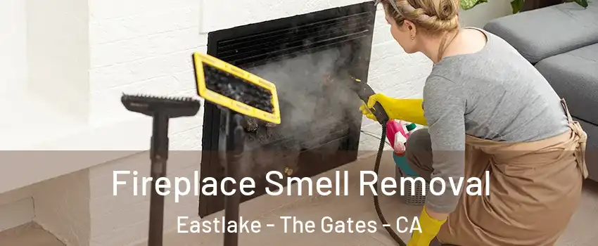 Fireplace Smell Removal Eastlake - The Gates - CA