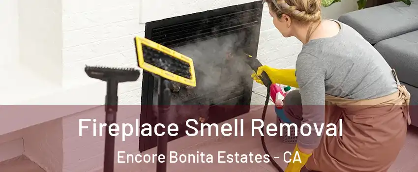 Fireplace Smell Removal Encore Bonita Estates - CA