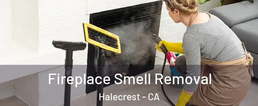 Fireplace Smell Removal Halecrest - CA